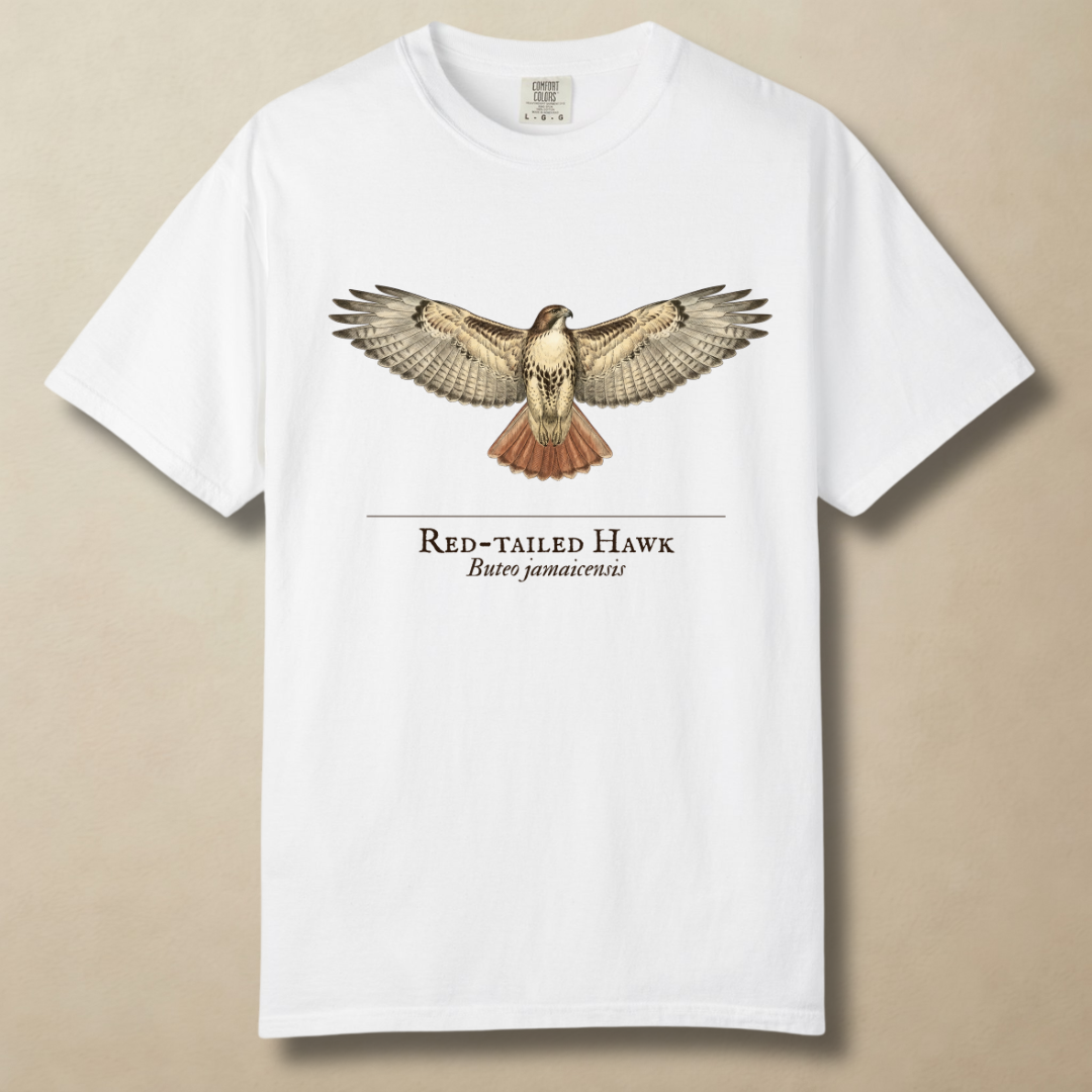Red-tailed Hawk - Ruler of the Open Sky T-Shirt