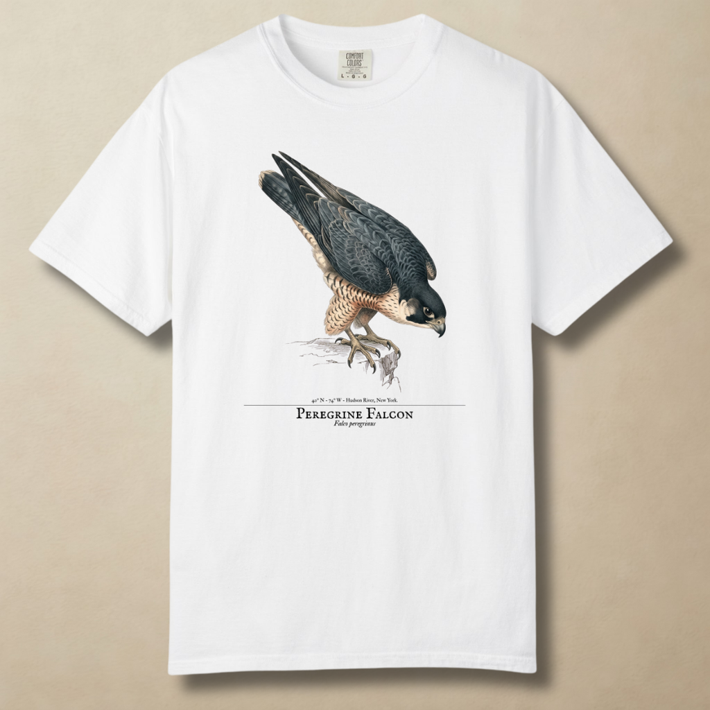 Peregrine Falcon - 240 MPH and Counting T-Shirt