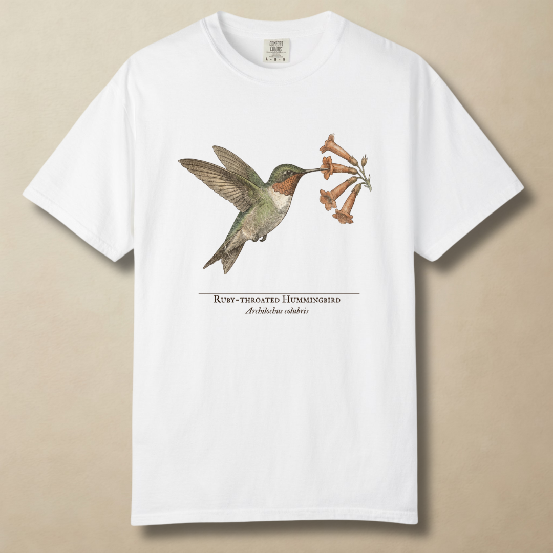 Ruby-throated Hummingbird T-Shirt