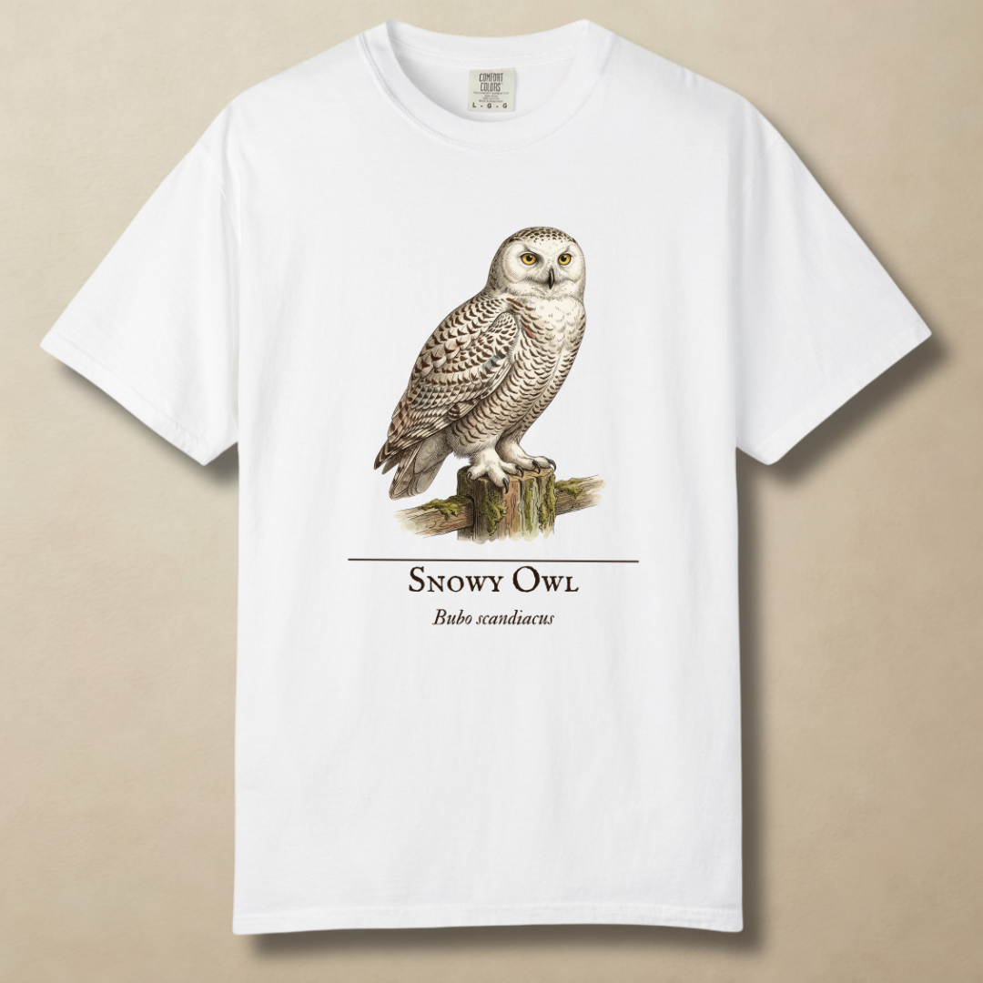 Snowy Owl - The Arctic Visitor T-Shirt