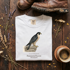 Peregrine Falcon - City Ledge T-Shirt