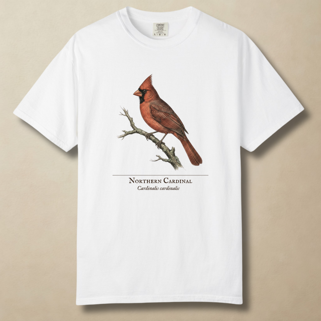 Northern Cardinal - The Backyard Sentinel T-Shirt