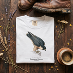 Peregrine Falcon - 240 MPH and Counting T-Shirt